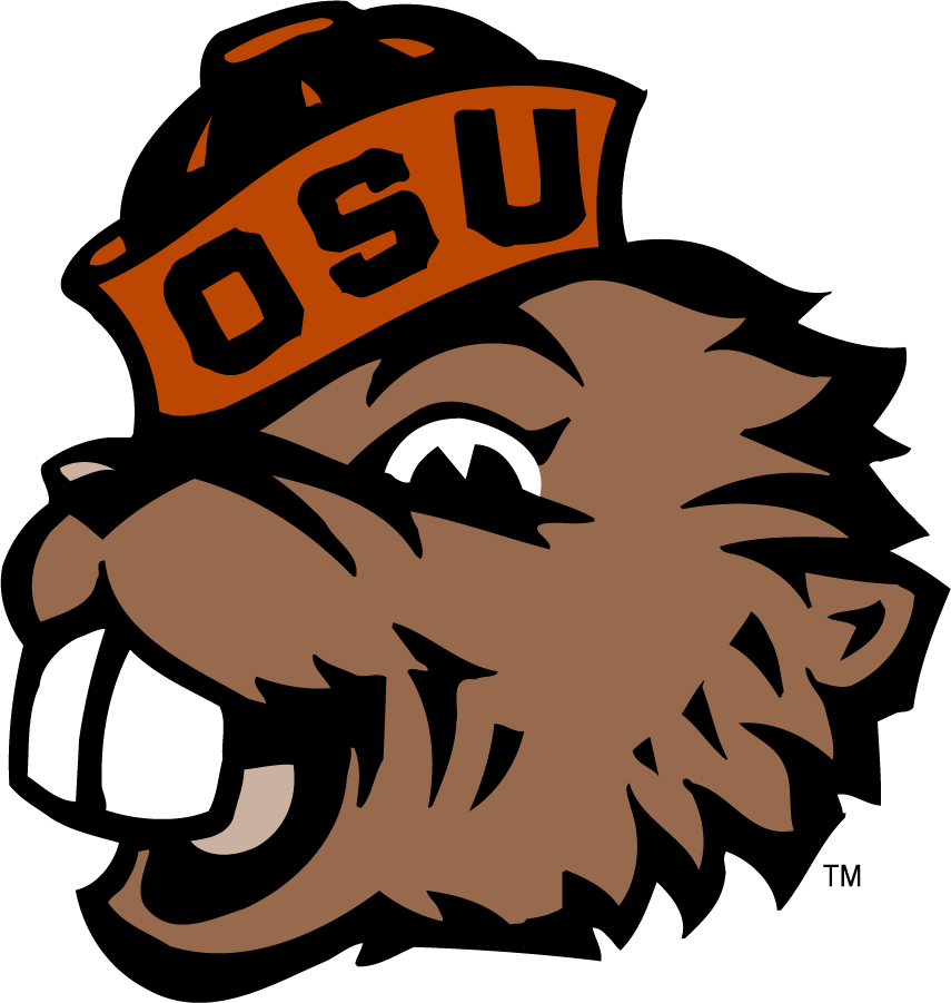 Oregon State Beavers 2018-Pres Secondary Logo v3 diy iron on heat transfer